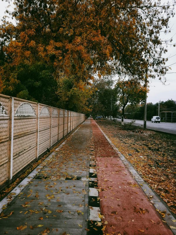 Découvrez les plaques de soubassement pour grillage rigide